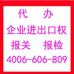 专业代理各类进出口业务，助力企业高效拓展国际市场